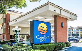 Comfort Inn Near Pasadena Civic Auditorium